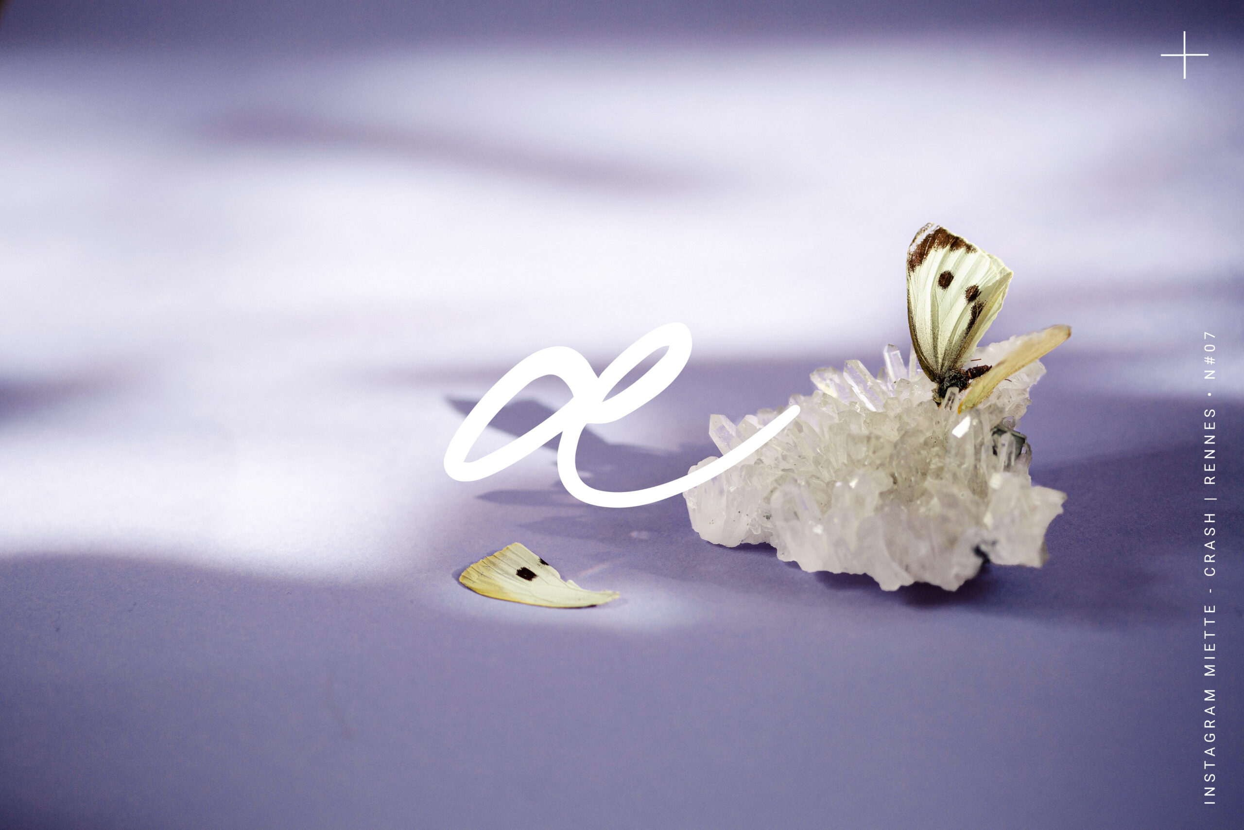 Photographie, Studio Et Cætera, Crash, photographie culinaire, créative, portrait, produits. Photographe à Rennes, Janzé, Chateaugiron, Corps Nuds...